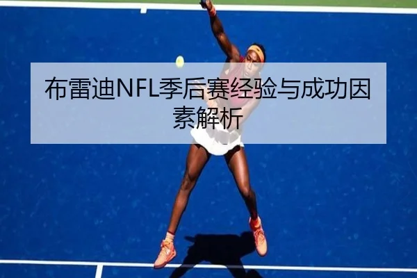 布雷迪NFL季后赛经验与成功因素解析